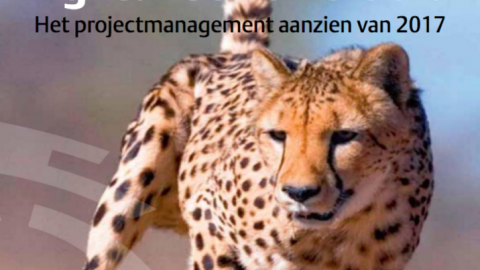 Het agile organisatieparadigma