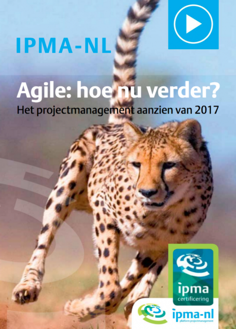 Het agile organisatieparadigma